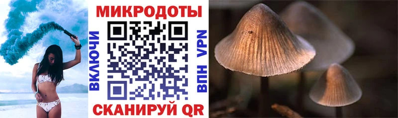 что такое наркотик  Солнечногорск  Псилоцибиновые грибы MAGIC MUSHROOMS 